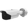 HIK VISION - DS-2TD2138-15/QY(B)