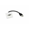 Plastron USB Fem A / Mâle A