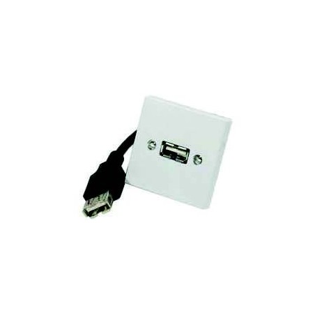 Plastron USB Fem A / Mâle A