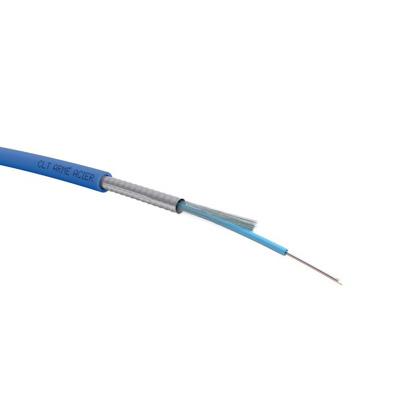 ACOME - B1141A - 24xOM2 libre in/ext ZH arm-Dca